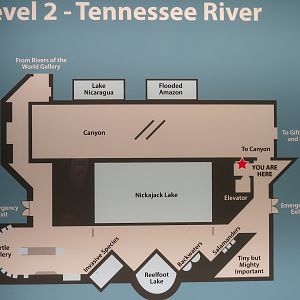 Tennessee River - Map