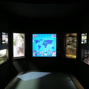 Tennessee River - Turtle Gallery