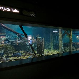 Tennessee River - Nickajack Lake Exhibit