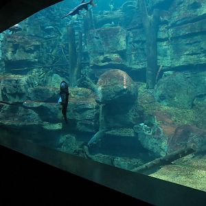 Tennessee River - Nickajack Lake Exhibit