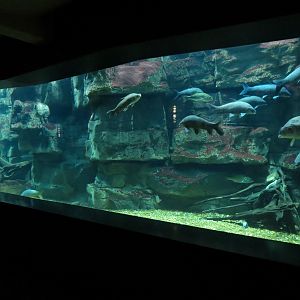 Tennessee River - Nickajack Lake Exhibit