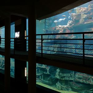 Tennessee River - Nickajack Lake Exhibit