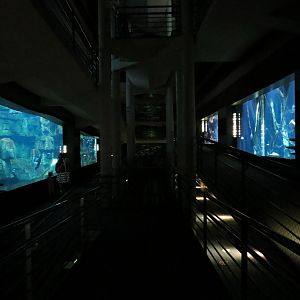 Canyon (central visitor lobby) - Lower Levels