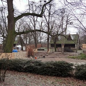 Takin and Alfred deer exhibits under reconstruction