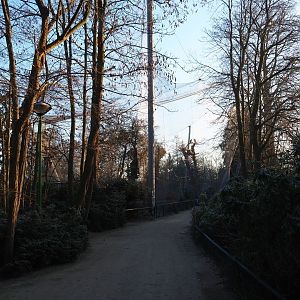 Route from the parking lot to the park and vulture aviary (Jan 20th, 2019)