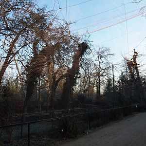 Vulture aviary (Jan 20th, 2019)