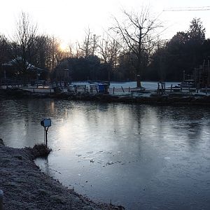 Pelican pond and view into the park (Jan 20th, 2019)