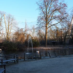 Pelican pond and vulture aviary (Jan 20th, 2019)