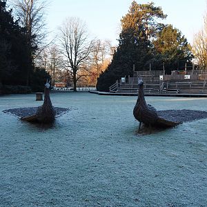 Park view (Jan 20th, 2019)