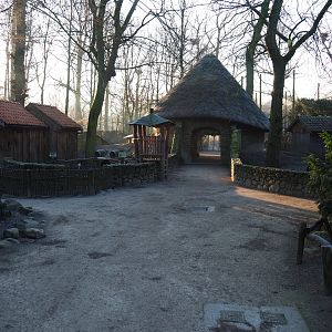 Domestic rabbit and raccoon exhibits (Jan 20th, 2019)