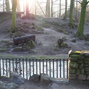 European badger exhibit (Jan 20th, 2019)