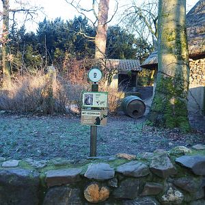 Raccoon exhibit (Jan 20th, 2019)