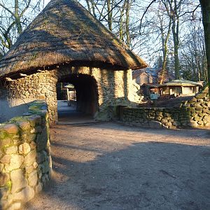 Domestic rabbit and raccoon exhibits (Jan 20th, 2019)