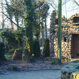 European aviary (Jan 20th, 2019)