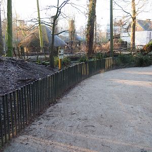 Eurasian beaver exhibit (Jan 20th, 2019)