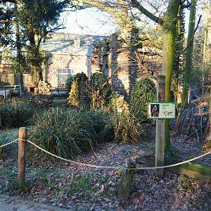 European aviary (Jan 20th, 2019)