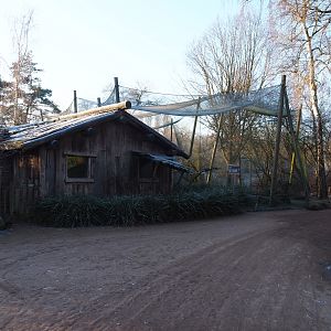 Australian waterside aviary and bird house (Jan 20th, 2019)