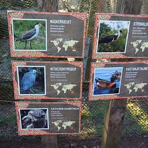 Australian waterside aviary bird signs (Jan 20th, 2019)