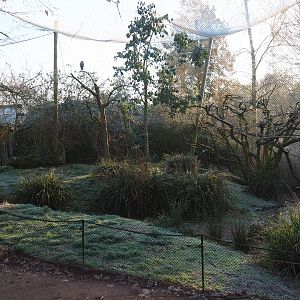 Australian waterside aviary (Jan 20th, 2019)