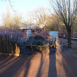 Tasmanian devil area (Jan 20th, 2019)