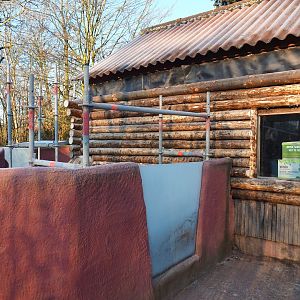 Common wombat exhibit renovations (Jan 20th, 2019)