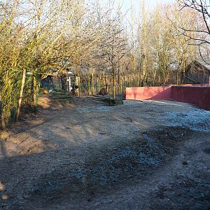 Part of the Red kangaroo - Swamp wallaby - Emu paddock (Jan 20th, 2019)