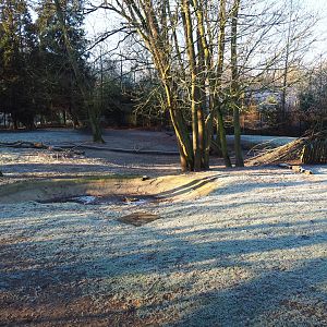 Red kangaroo - Swamp wallaby - Emu paddock (Jan 20th, 2019)