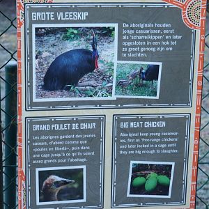 Signage Double-wattled cassowary (Jan 20th, 2019)