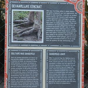 Signage Double-wattled cassowary (Jan 20th, 2019)