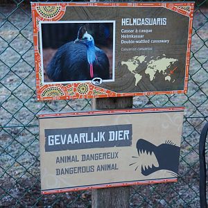 Signage Double-wattled cassowary (Jan 20th, 2019)