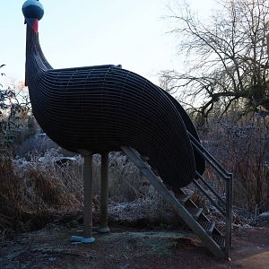 Cassowary-shaped viewing point (Jan 20th, 2019)