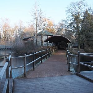 View towards Queensland koala house (Jan 20th, 2019)