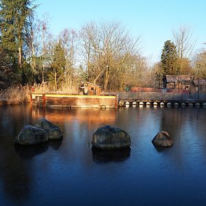 Oceania section pond (Jan 20th, 2019)