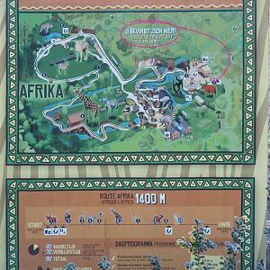 Africa section map (Jan 20th, 2019)