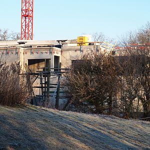 Construction of new bonobo house (Jan 20th, 2019)
