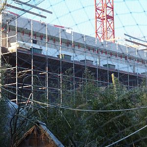 Construction of new bonobo building (Jan 20th, 2019)