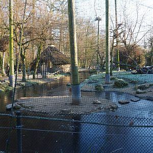 African waterside aviary (Jan 20th, 2019)