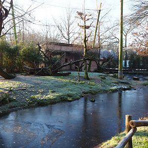 African waterside aviary (Jan 20th, 2019)