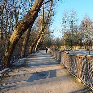 Giraffe savanna viewing area (Jan 20th, 2019)