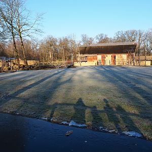 Giraffe savanna exhibit (Jan 20th, 2019)