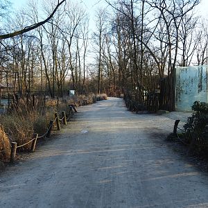 Park view near the spotted hyena and Arabian oryx exhibits (Jan 20th, 2019)