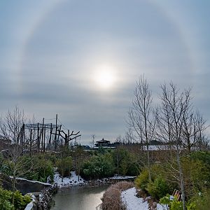 Solar Halo, Islands - 31/01/2019
