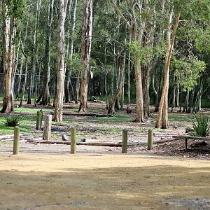 Macropod Walk-through Enclosure