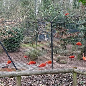 Colour on a dull day, February 2019