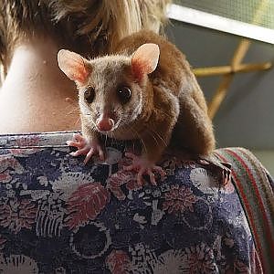 Paul & Lynsey's Zoo Tour #84 BestZoo - YouTube