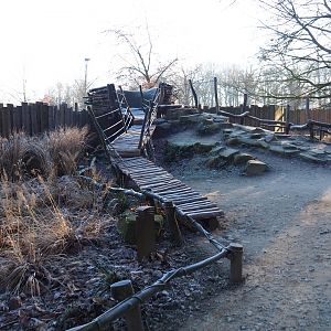 Adventurous viewing area American plains bison - Rocky Mountain elk prairie (Jan 20th, 2019)