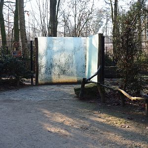 Second anteater yard (Jan 20th, 2019)