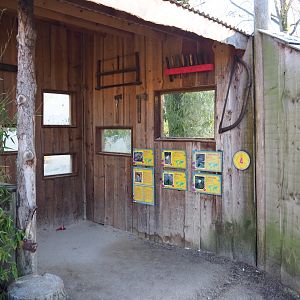 Viewing area Red-crowned crane - Blue eared pheasant - Green peafowl - Black-headed ibis - Cheer pheasant aviary (Jan 20th, 2019)