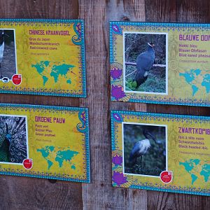 Signs Red-crowned crane - Blue eared pheasant - Green peafowl - Black-headed ibis  (Jan 20th, 2019)