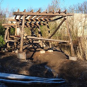 Construction of new viewing area near the elephant exhibit (Jan 20th, 2019)
